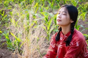 离婚后山区支教遇真爱：单亲妈妈的惊人秘密