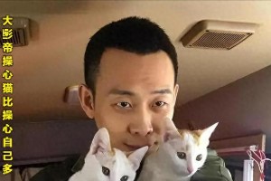 张译夫妇反传统婚姻：灵魂伴侣的17年幸福秘诀