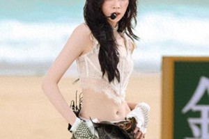 宋妍霏《浪姐6》再提自热锅事件，网友热议