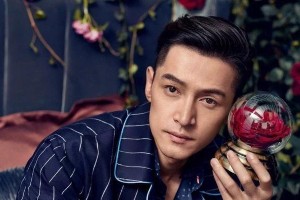 胡歌不婚背后的故事：母亲影响与三段感情经历