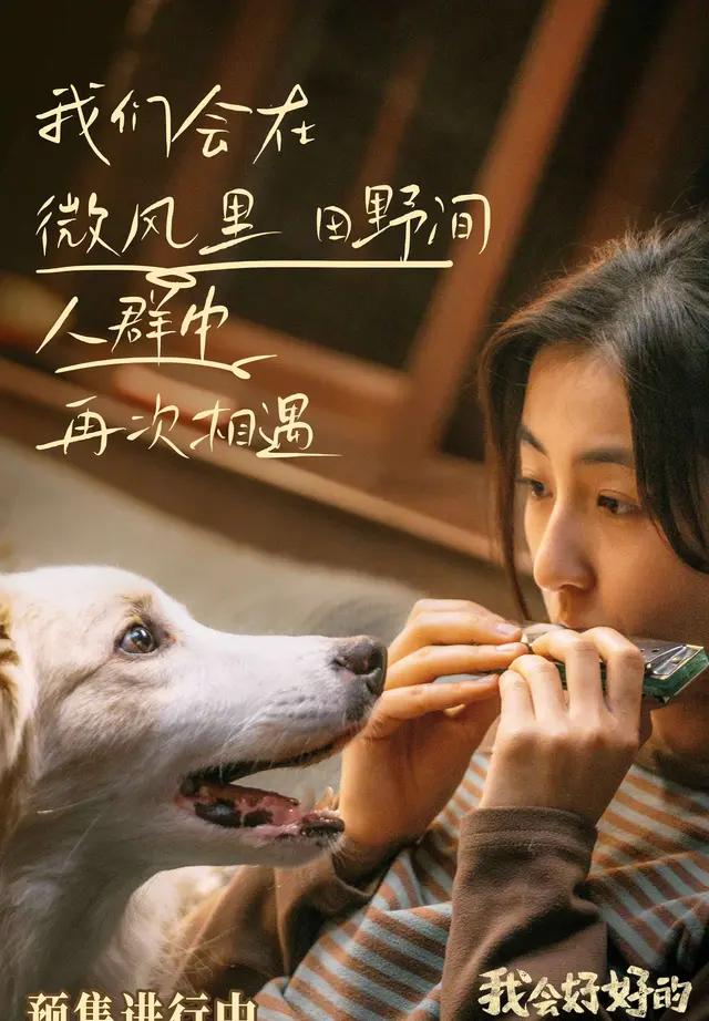 新生代女演员群像