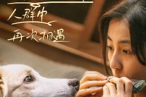 2023十大新生代女演员盘点：张子枫、赵露思领衔